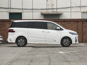 2021PLUS 2.0T ԄӺA  w^