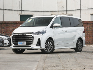 2021PLUS 2.0T ԄӺA  ǰ45