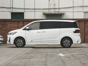 2021PLUS 2.0T ԄӺA  (c)