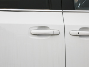 2021PLUS 2.0T Ԅ(dng)A  (x)(ji)^(gun)