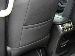 2021PLUS 2.0T Ԅ(dng)A  g