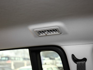 2021PLUS 2.0T ԄӺA  g