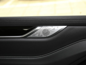 2021PLUS 2.0T ԄӺA  g