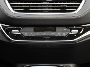 2021PLUS 2.0T ԄӺA  {{