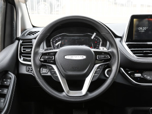 2021PLUS 2.0T ԄӺA  P