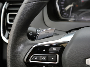 2021PLUS 2.0T ԄӺA  п؅^