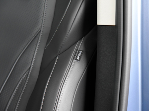 2021PLUS 2.0T ԄŰ g