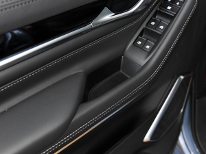 2021PLUS 2.0T ԄŰ g