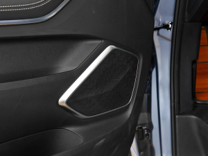 2021PLUS 2.0T ԄŰ g