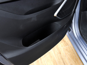 2021PLUS 2.0T ԄŰ ǰTg