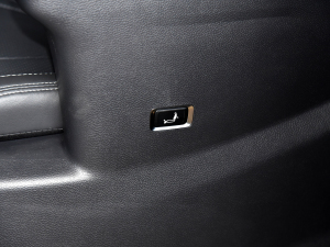 2021PLUS 2.0T ԄŰ g