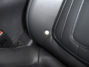 2021PLUS 2.0T ԄŰ g