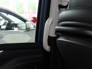 2021PLUS 2.0T ԄŰ g