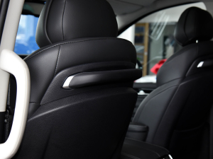 2021PLUS 2.0T ԄŰ g