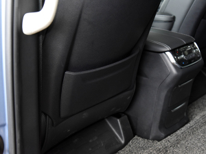 2021PLUS 2.0T ԄŰ g