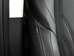 2021PLUS 2.0T ԄŰ g