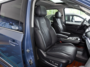 2021PLUS 2.0T ԄŰ g