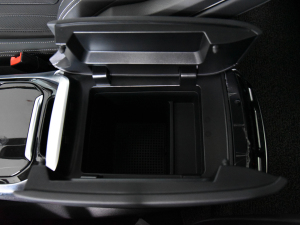 2021PLUS 2.0T ԄŰ g