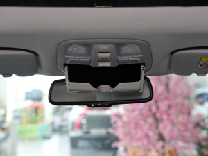 2021PLUS 2.0T ԄŰ g