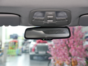 2021PLUS 2.0T Ԅ(dng)Ű ܇(ni)ҕR