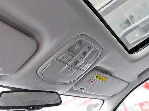 2021PLUS 2.0T ԄŰ g