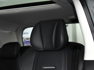 2021PLUS 2.0T ԄŰ g