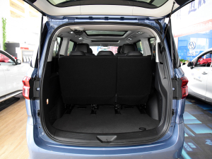 2021PLUS 2.0T ԄŰ g