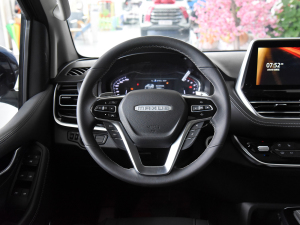 2021PLUS 2.0T ԄŰ P