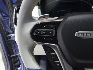 2021PLUS  2.0T ȷ п؅^