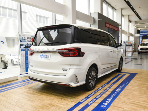 2021PLUS 2.0T Ԅ Һ45