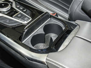 2021PLUS 2.0T Ԅ ǰű