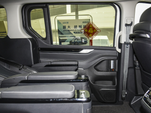 2021PLUS 2.0T Ԅ ܇T