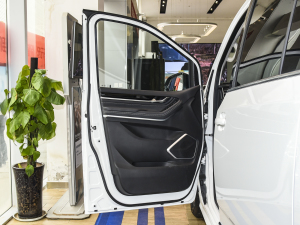 2021PLUS 2.0T Ԅ {λ܇T