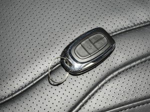 2021PLUS 2.0T Ԅ ܇耳