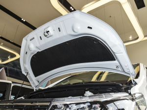 2021PLUS 2.0T Ԅ lәCœ