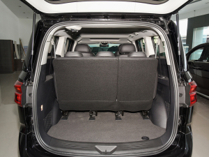 2021Ŀ PLUS 2.0T ԄӺA  g