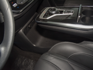 2021Ŀ PLUS 2.0T ԄӺA  g