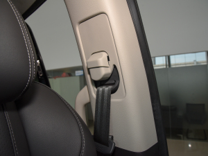 2021Ŀ PLUS 2.0T ԄӺA  g