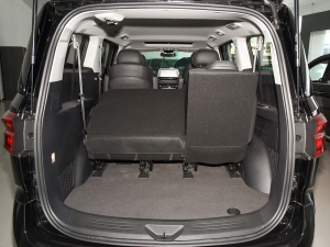 2021Ŀ PLUS 2.0T ԄӺA  g