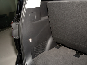 2021Ŀ PLUS 2.0T ԄӺA  g