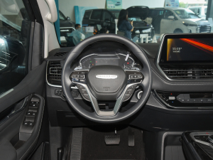 2021Ŀ PLUS 2.0T ԄӺA  P