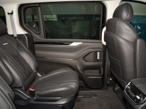 2021Ŀ PLUS 2.0T ԄӺA  ܇T