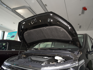 2021Ŀ PLUS 2.0T ԄӺA  lәCœ