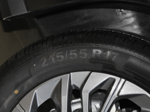 2021PLUS 1.5T Ԅo ݆̥ߴ