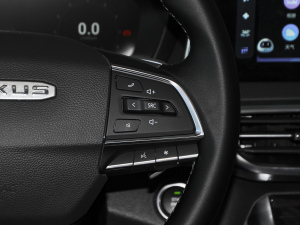 2021PLUS 1.5T Ԅo п؅^(q)