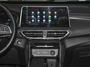 2021PLUS 1.5T Ԅo {L