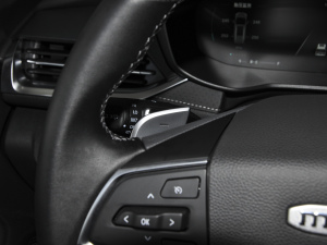 2021PLUS 1.5T Ԅo п؅^