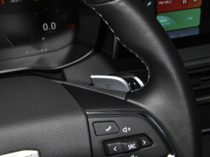 2021PLUS 1.5T Ԅo п؅^