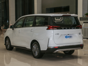 2021PLUS 1.5T ԄѲ 45