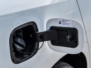 2021PLUS 1.5T ԄѲ w